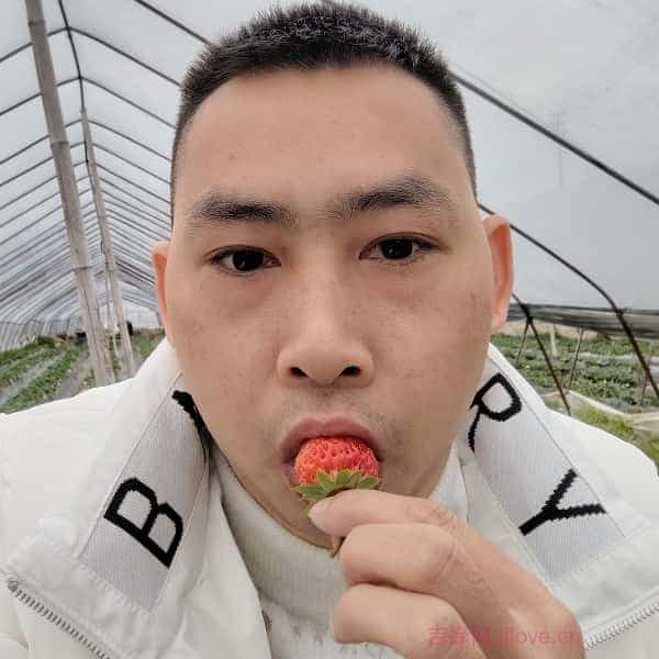 五指山征婚相亲网
